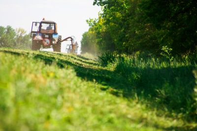 Clearing Pasture Land