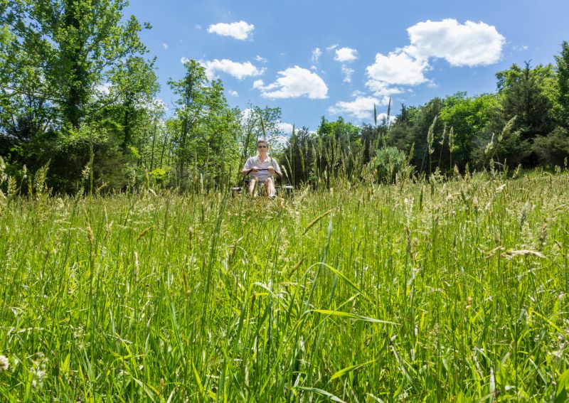 Meadow Mowings in Bloom