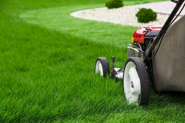 Grass Cutting
