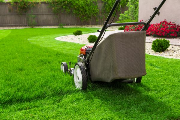 Lawn Mowing