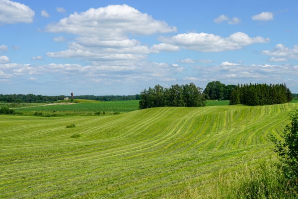 Pasture Management