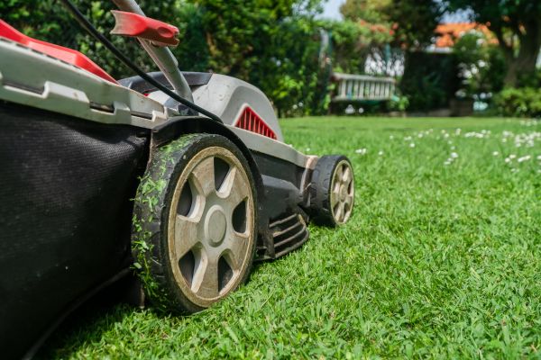 Rough Mowing
