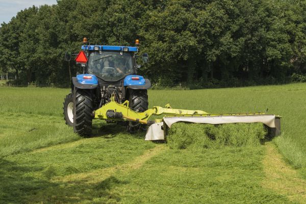 Pasture Grass Mowing