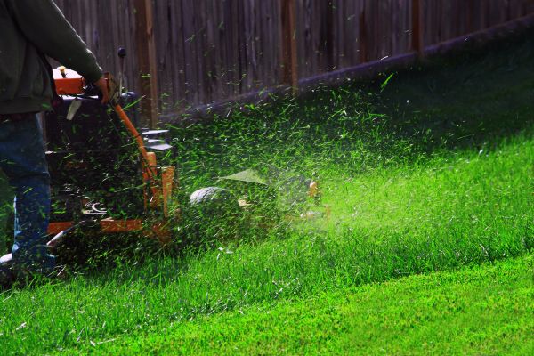 Lawn Grass Mowing