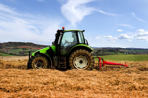 Hay Cutting