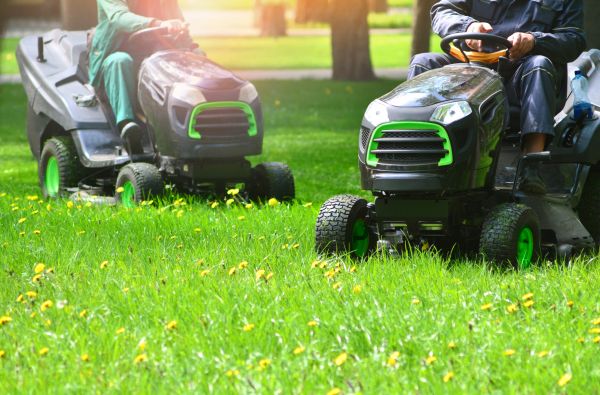 Meadow Trimming